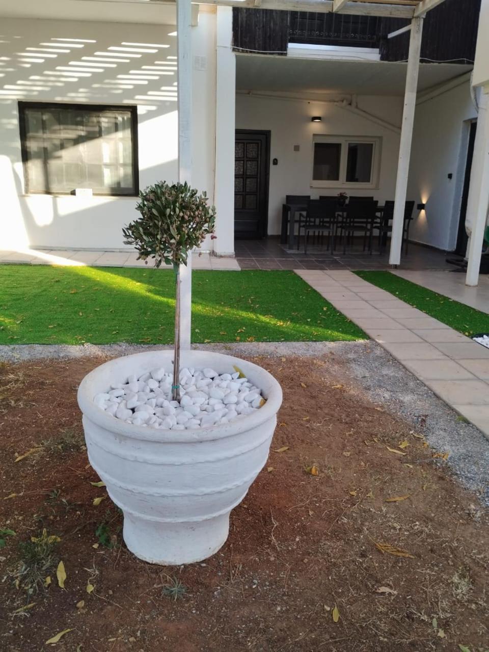 Black N' White Cozy Housegarden Dedeağaç Dış mekan fotoğraf